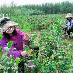 永乐高70net(中国)有限公司-BinG百科