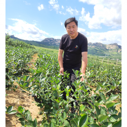 永乐高70net(中国)有限公司-BinG百科
