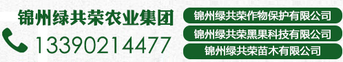 永乐高70net(中国)有限公司-BinG百科
