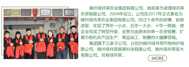 永乐高70net