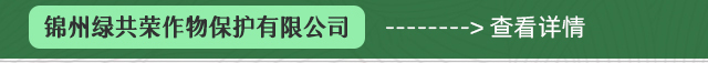 永乐高70net