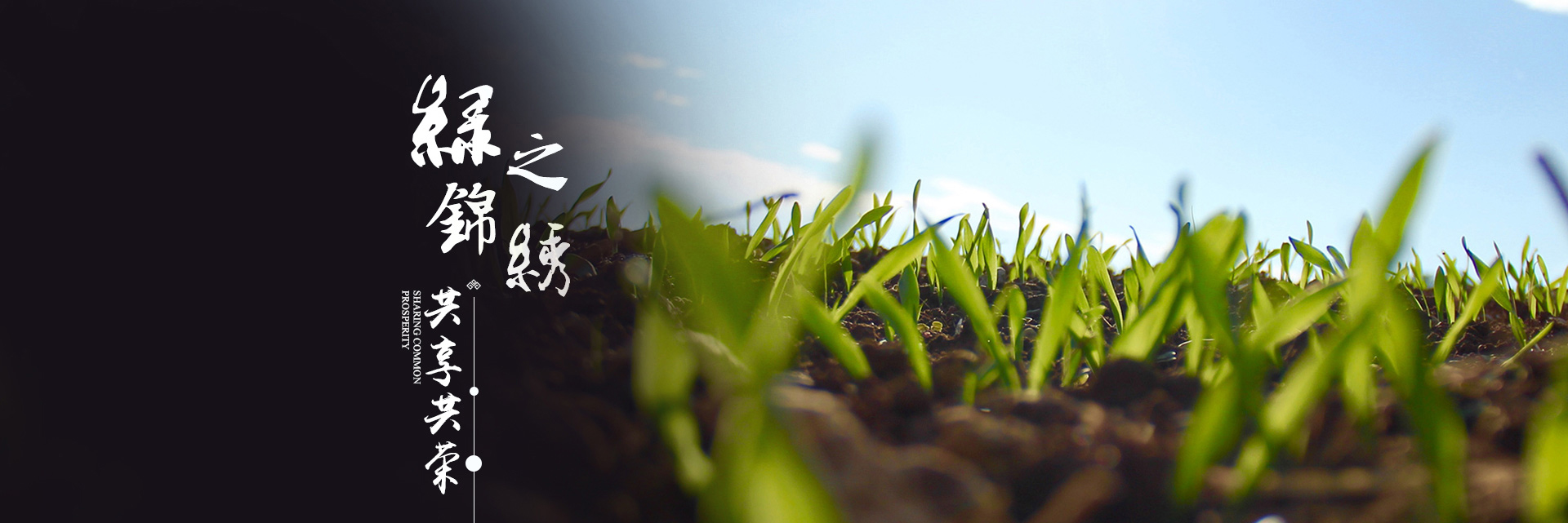永乐高70net(中国)有限公司-BinG百科