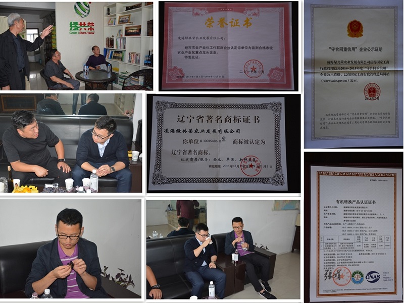 永乐高70net(中国)有限公司-BinG百科