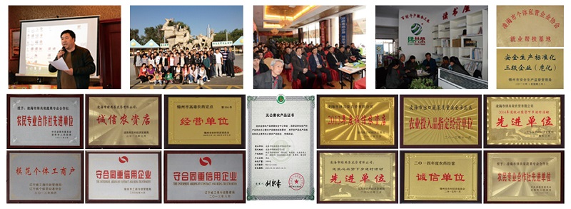 永乐高70net(中国)有限公司-BinG百科