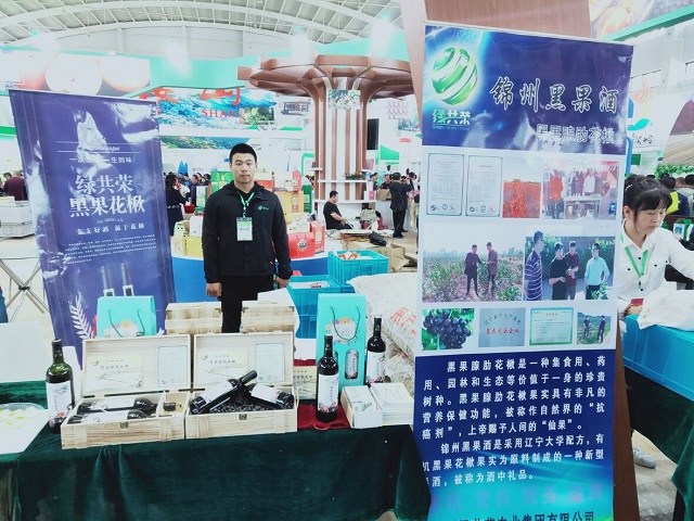 永乐高70net(中国)有限公司-BinG百科