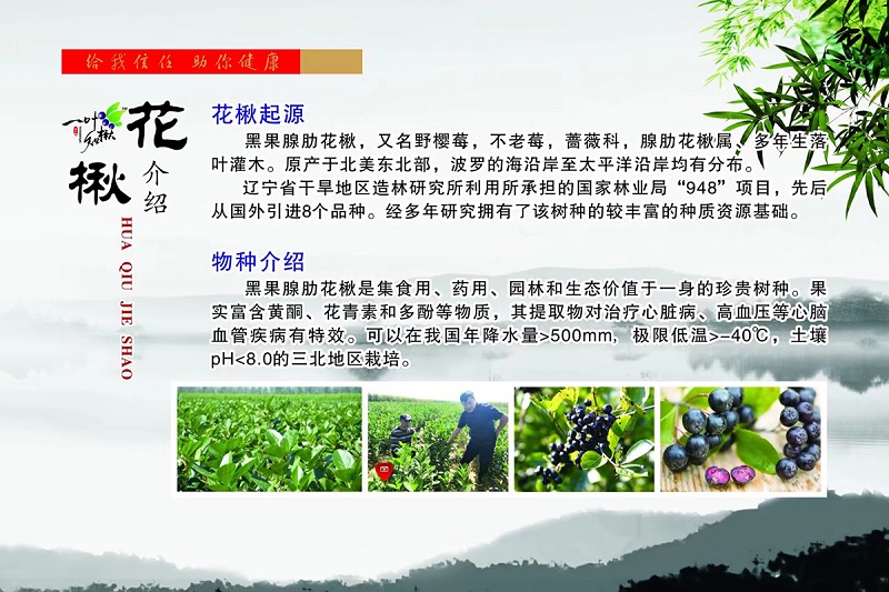 永乐高70net(中国)有限公司-BinG百科