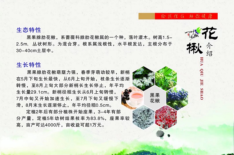 永乐高70net(中国)有限公司-BinG百科