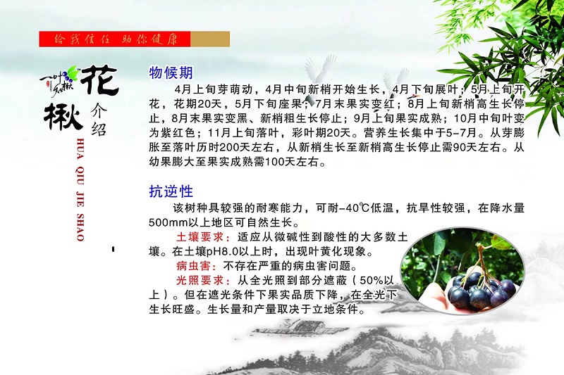 永乐高70net(中国)有限公司-BinG百科