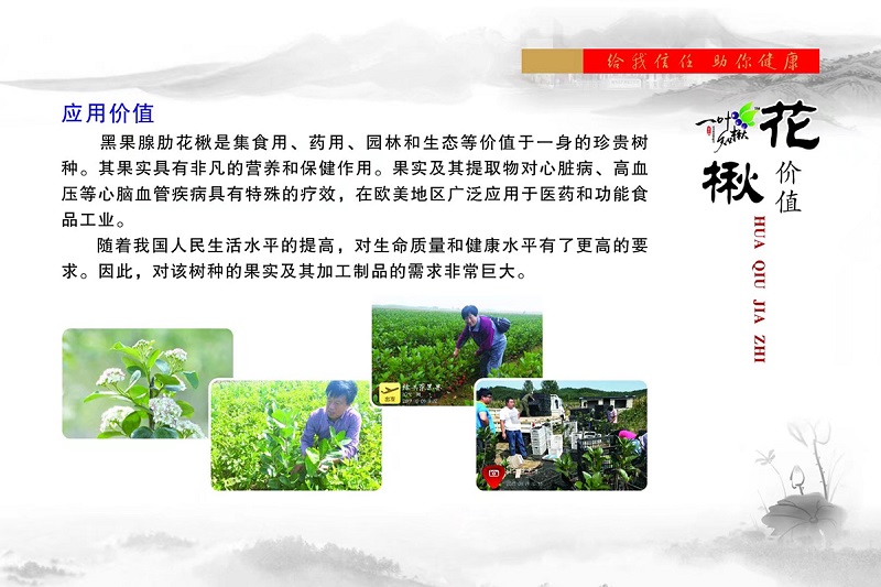 永乐高70net(中国)有限公司-BinG百科