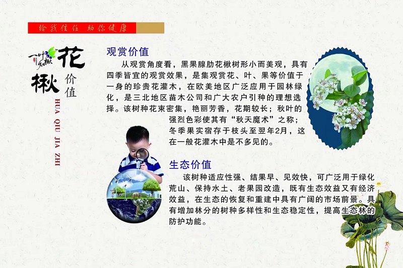 永乐高70net(中国)有限公司-BinG百科