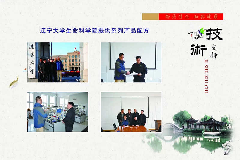 永乐高70net(中国)有限公司-BinG百科