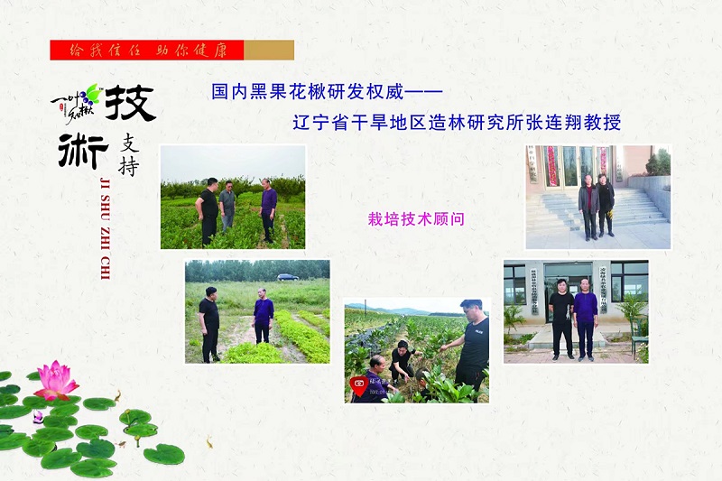 永乐高70net(中国)有限公司-BinG百科