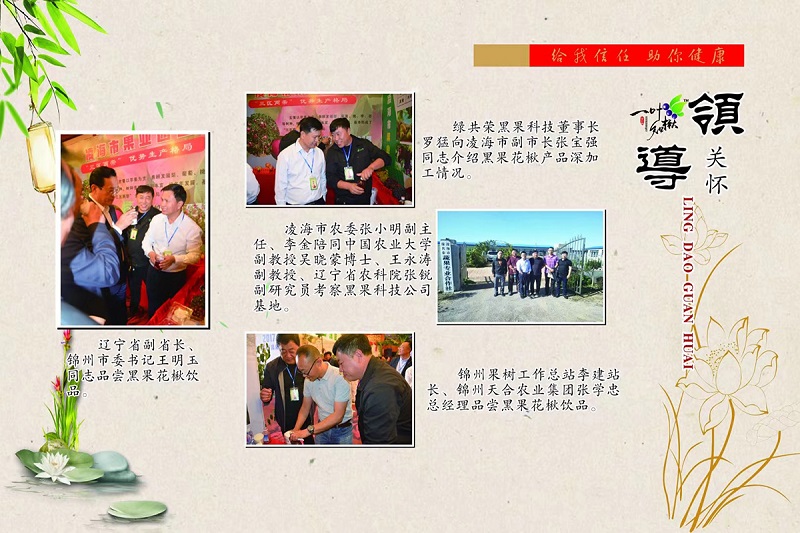 永乐高70net(中国)有限公司-BinG百科