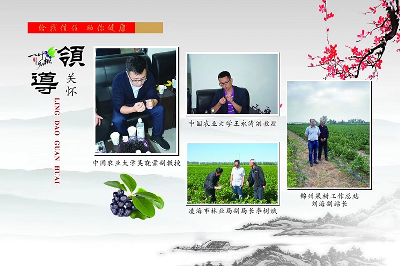 永乐高70net(中国)有限公司-BinG百科