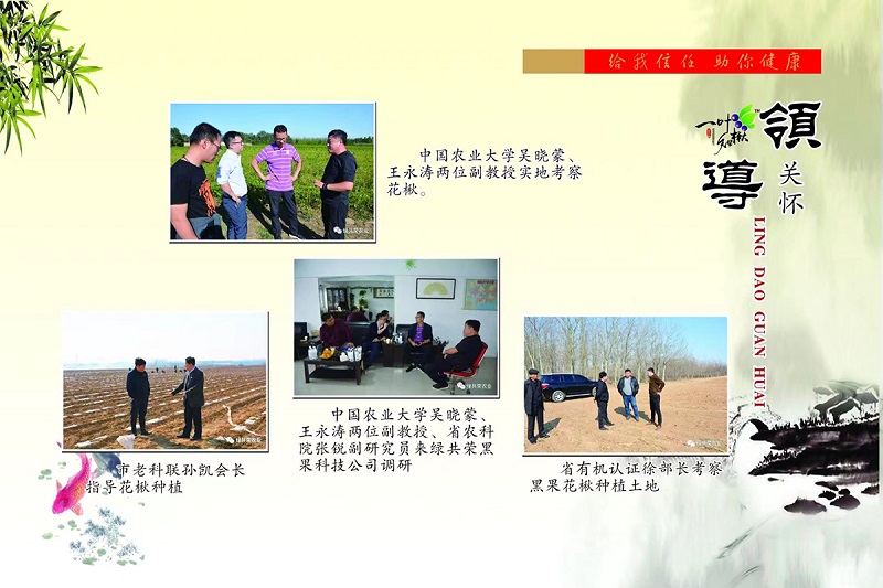 永乐高70net(中国)有限公司-BinG百科