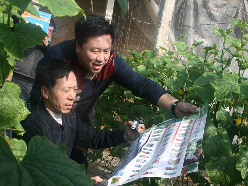 永乐高70net(中国)有限公司-BinG百科