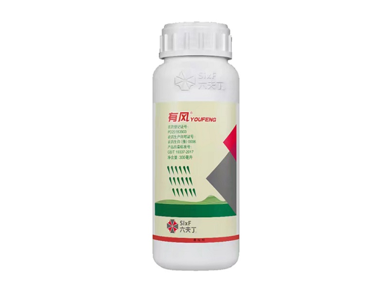 永乐高70net(中国)有限公司-BinG百科
