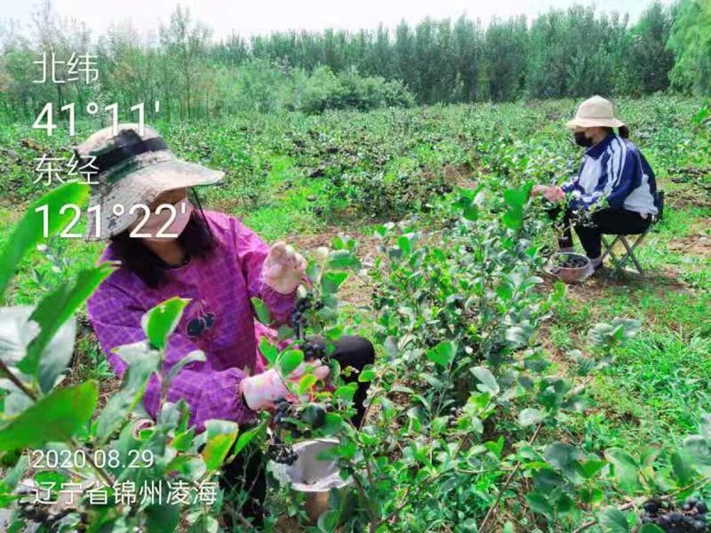 永乐高70net(中国)有限公司-BinG百科