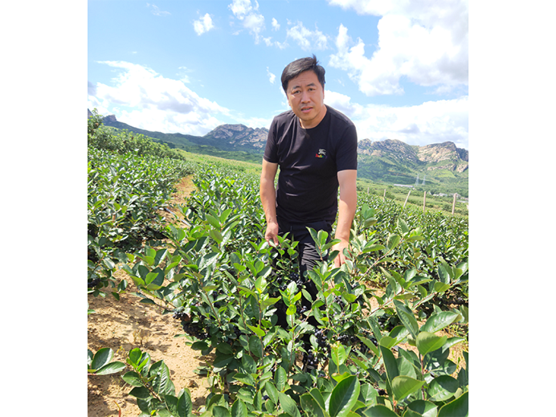 永乐高70net(中国)有限公司-BinG百科