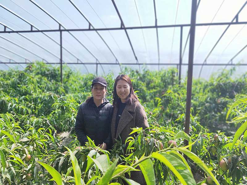 永乐高70net(中国)有限公司-BinG百科
