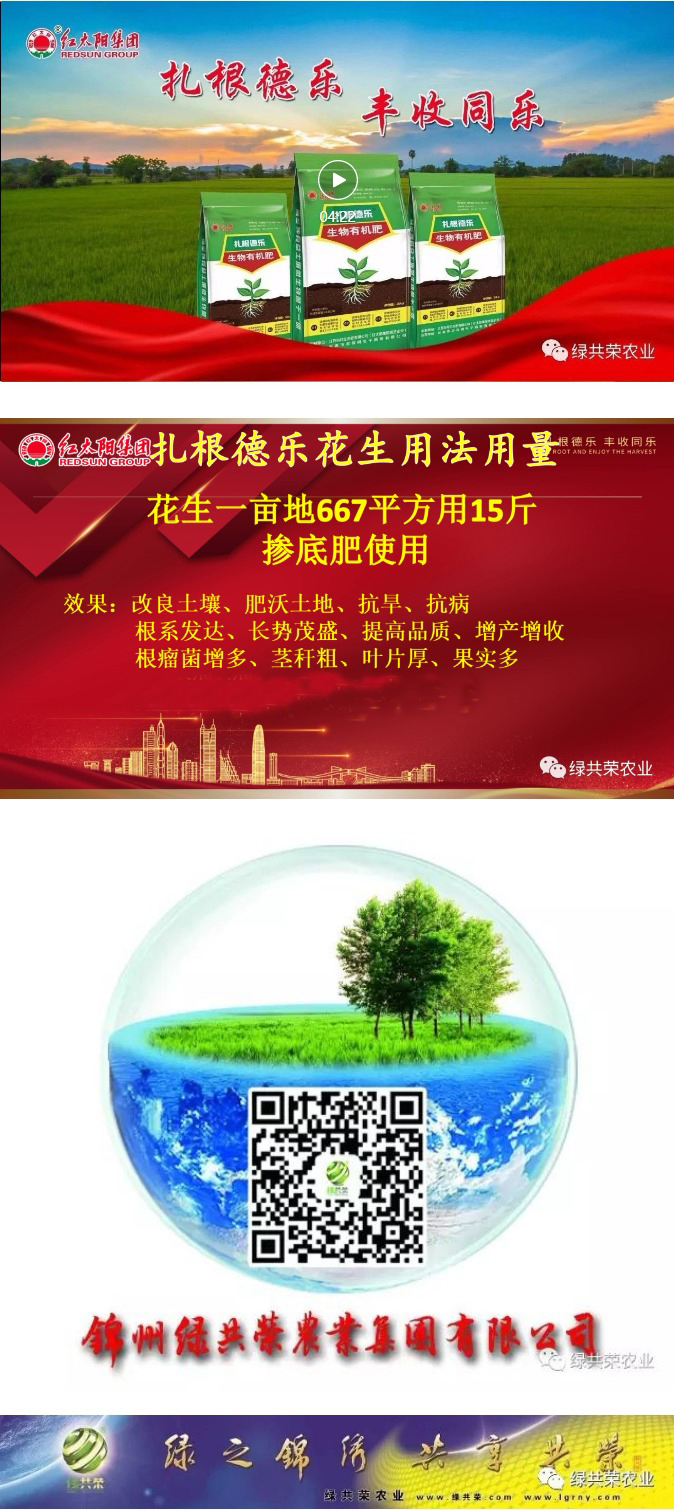 永乐高70net(中国)有限公司-BinG百科